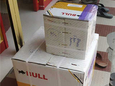 Overseas Courier Services DHL