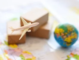 international-parcel-delivery-services international-parcel-delivery-services-in-coimbatore